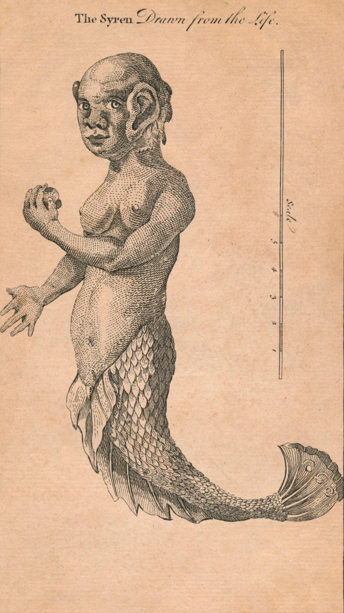 O Syren tirado da vida, 1759 de Benjamin Cole