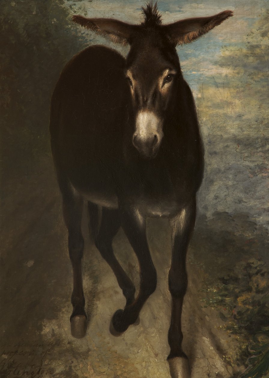 Um burro siciliano de Benjamin Haydon