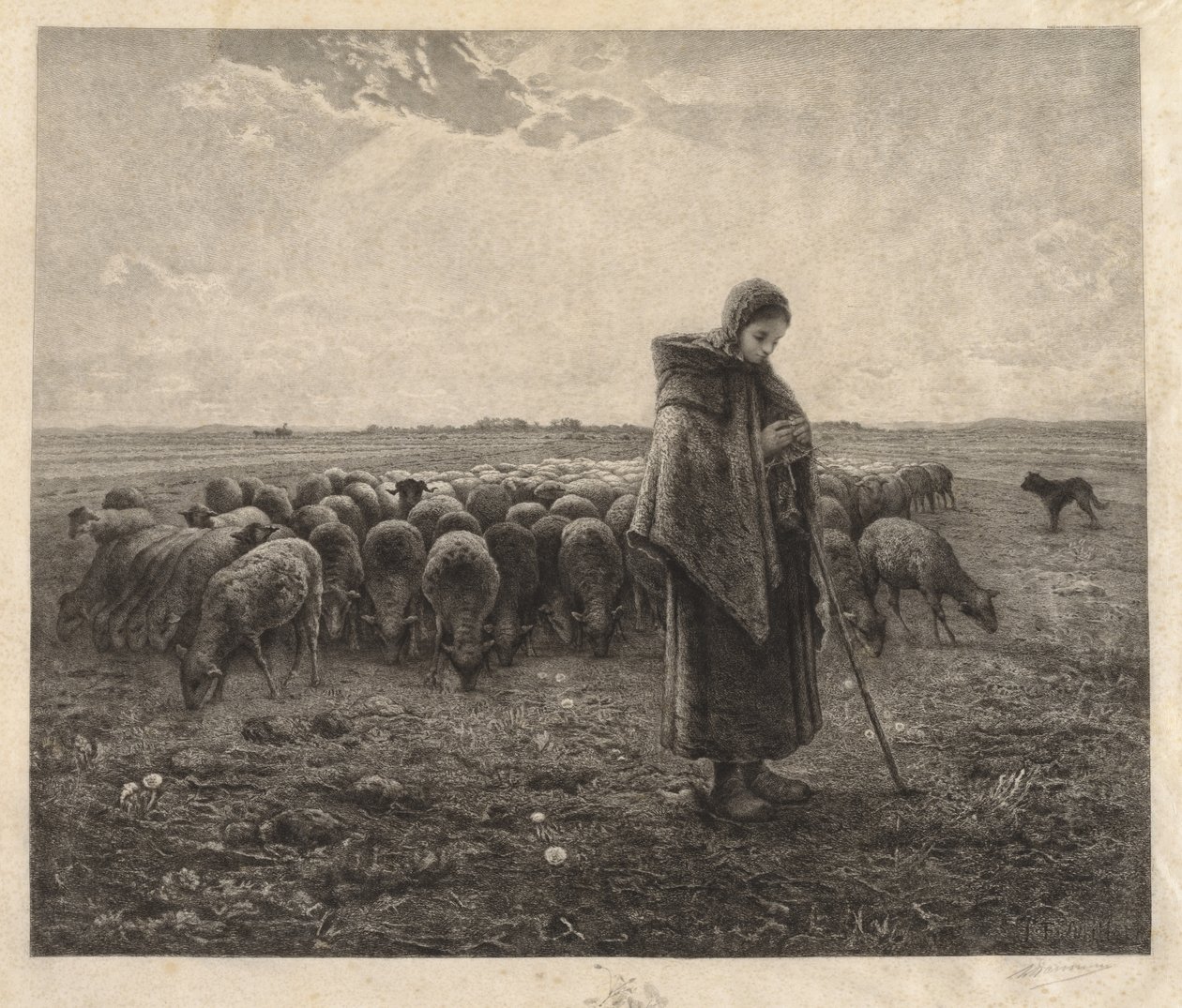 O aprisco de Benjamin Louis Auguste Damman