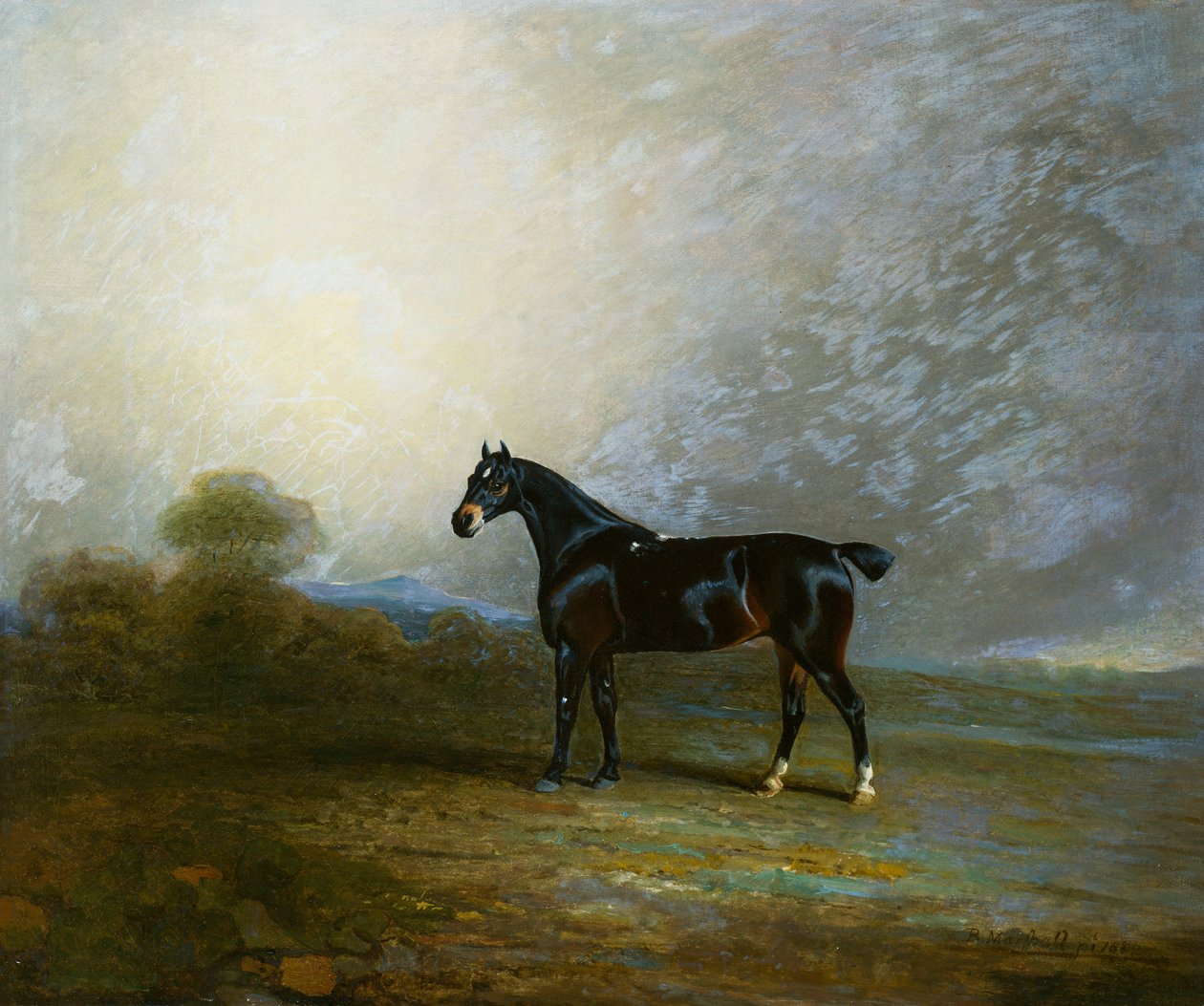 Bembo, um caçador favorito de Charles Shuttleworth, Esq., 1802 de Benjamin Marshall