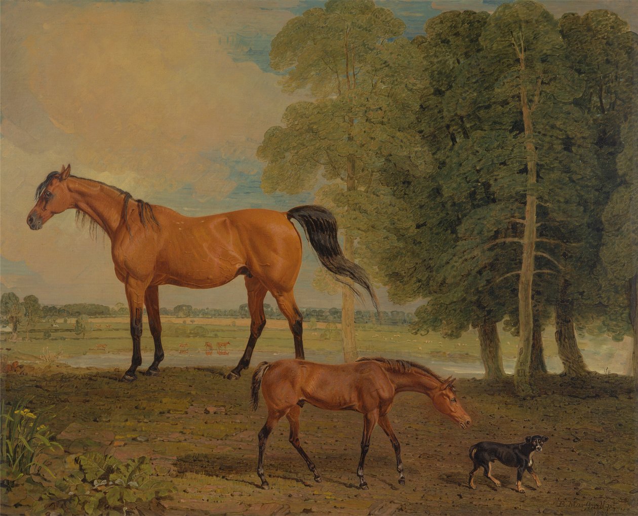 Broodmare com potro, e um Terrier de Benjamin Marshall