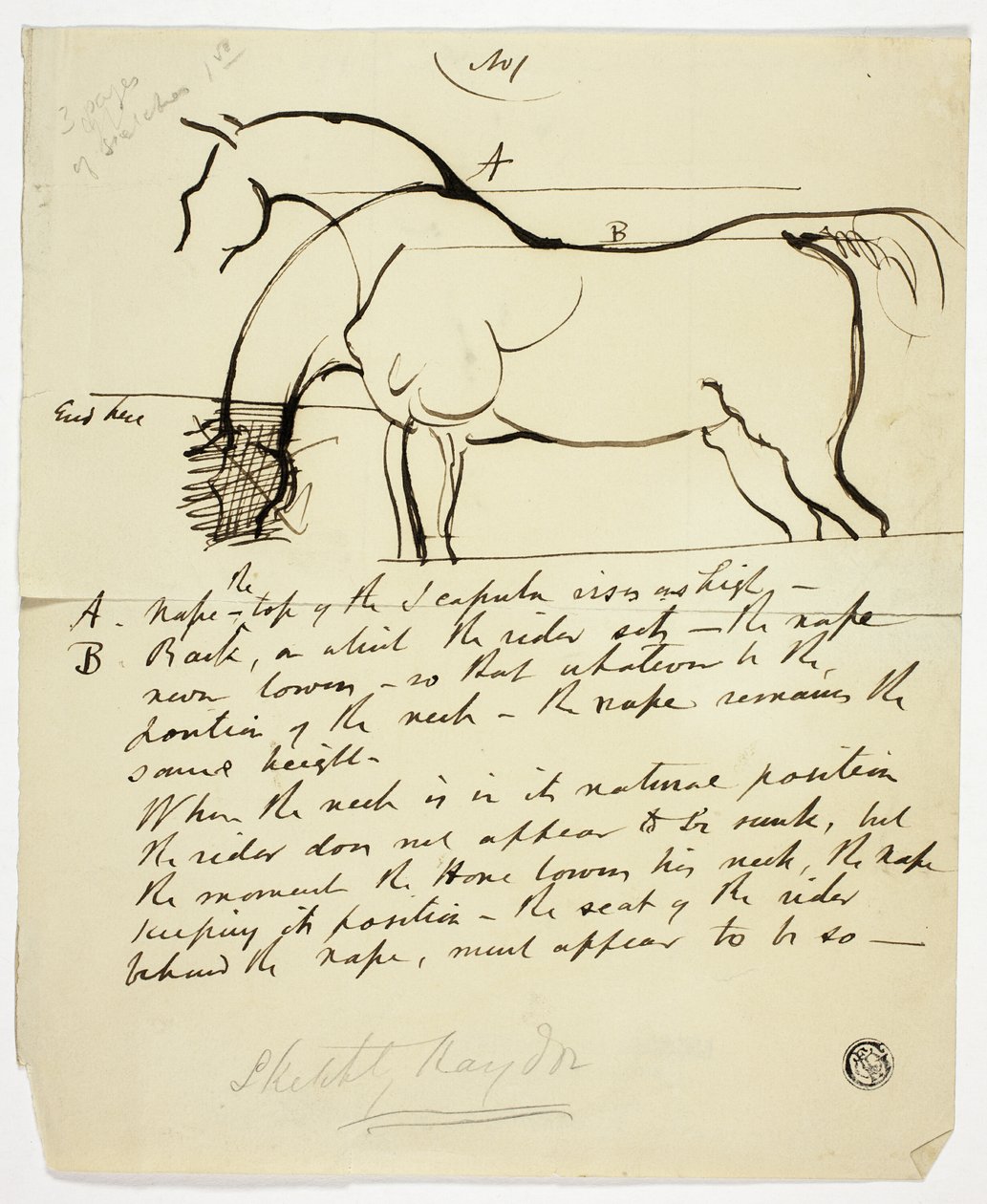Esboço de um cavalo com anotações de Benjamin Robert Haydon