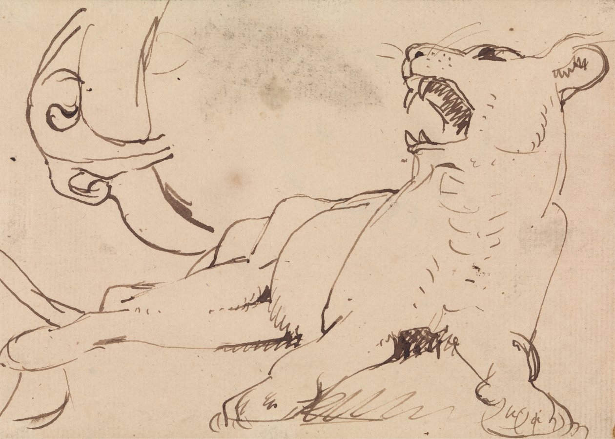 Estudo de uma Lioness de Benjamin Robert Haydon