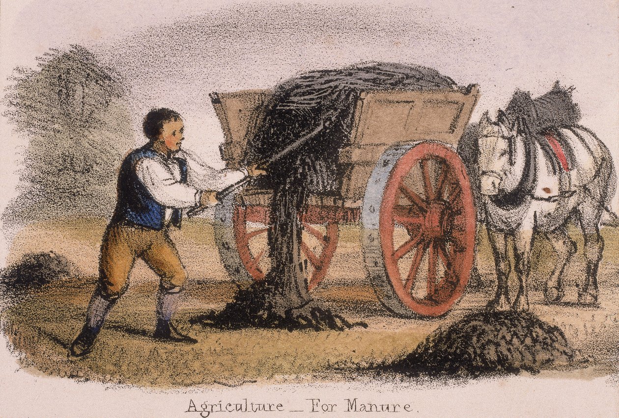 Agricultura, para estrume, c1845 de Benjamin Waterhouse Hawkins
