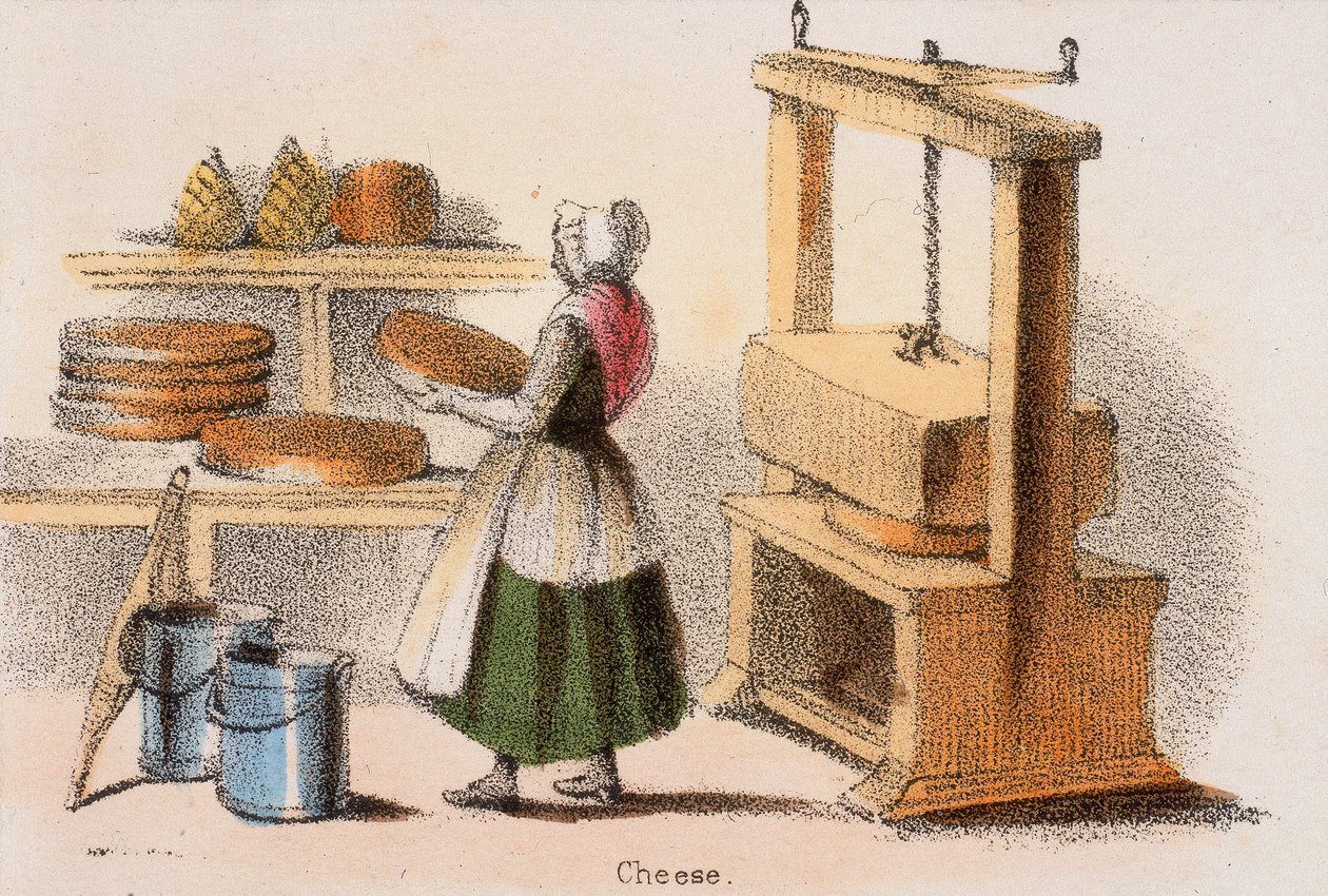 Queijo, c1845. de Benjamin Waterhouse Hawkins