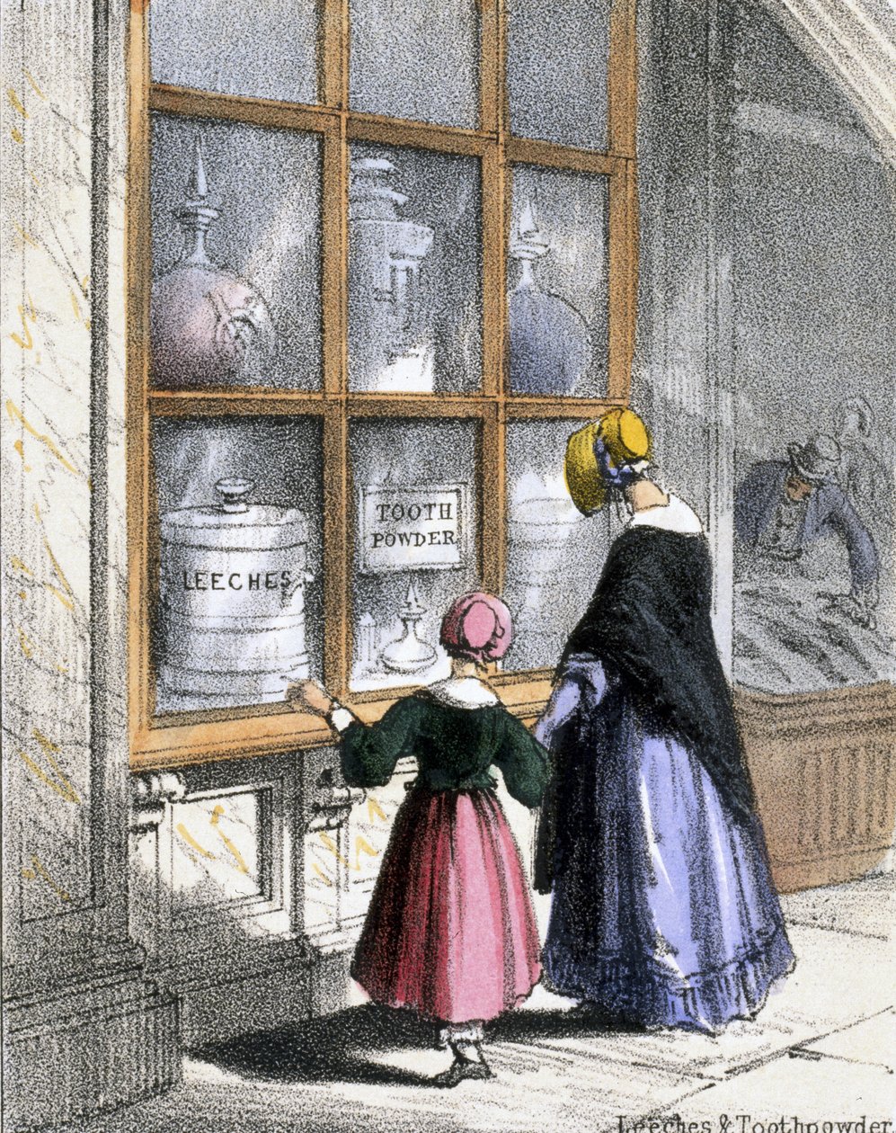 Sanguessugas e Toothpowder, de crustáceos e répteis em ilustrações gráficas de animais - mostrando sua utilidade para o homem em seu emprego durante a vida e usos após a morte, c.1845 de Benjamin Waterhouse Hawkins
