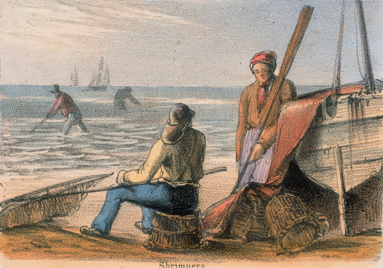 Camarões, c1845 de Benjamin Waterhouse Hawkins