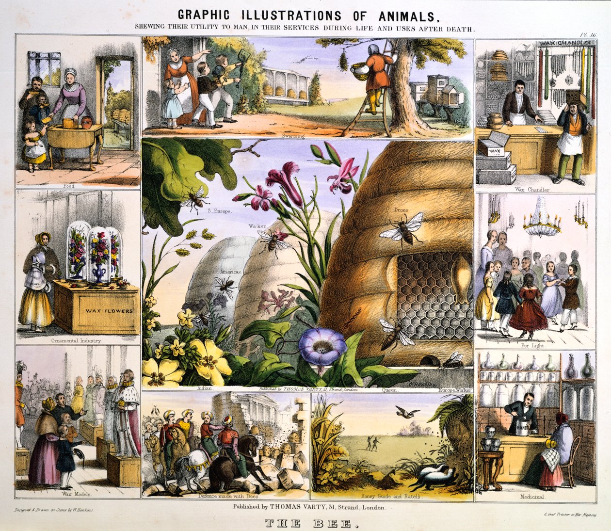 A abelha, c1850 de Benjamin Waterhouse Hawkins