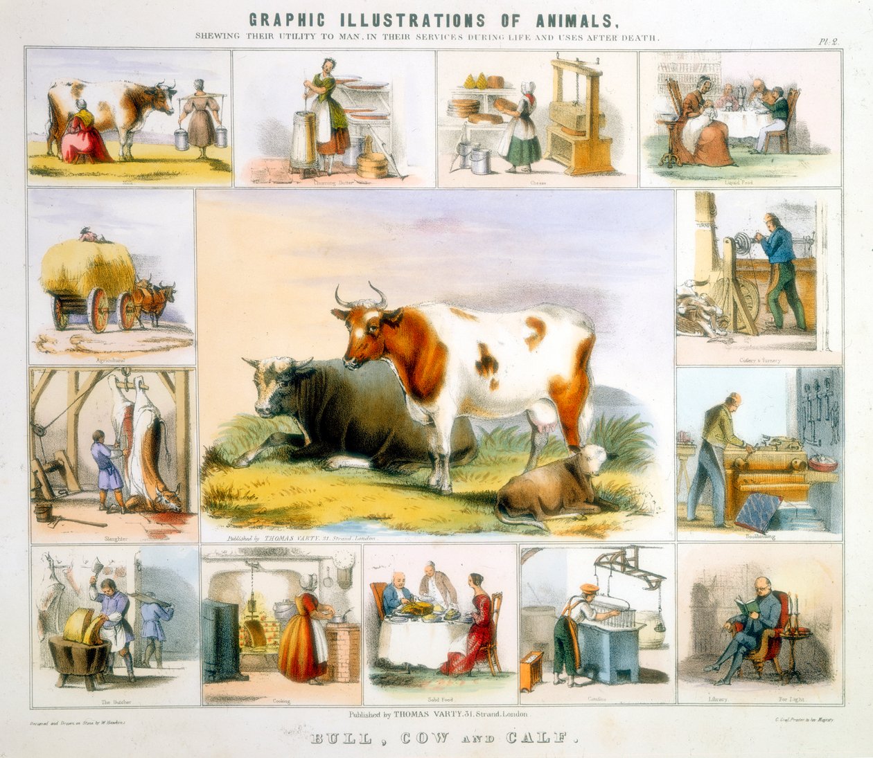 A vaca, c1850 de Benjamin Waterhouse Hawkins