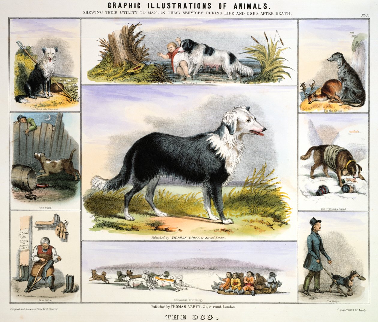 O cão, c1850 de Benjamin Waterhouse Hawkins