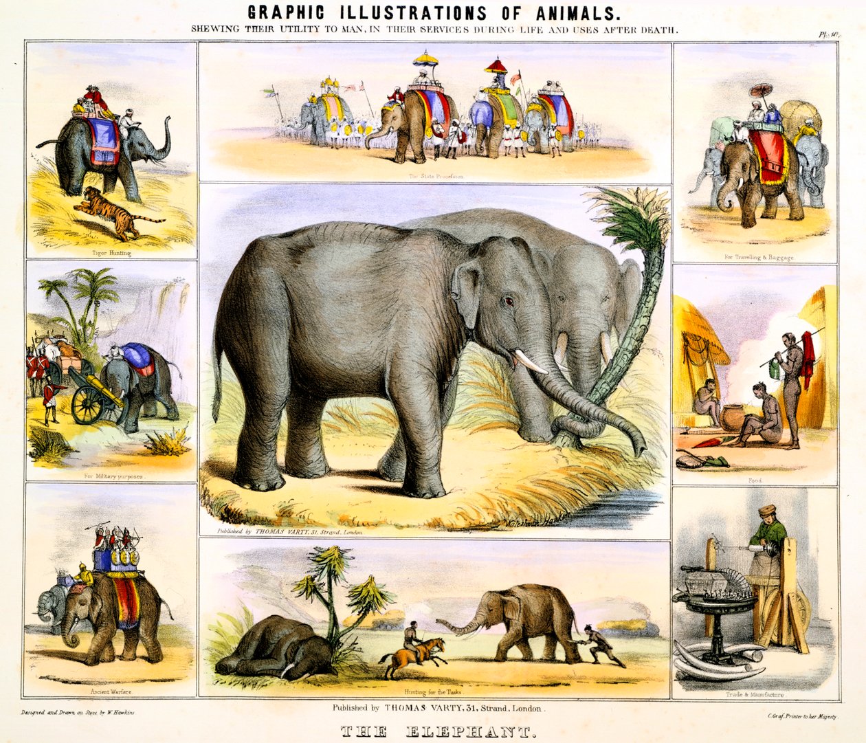 O elefante, c1850 de Benjamin Waterhouse Hawkins