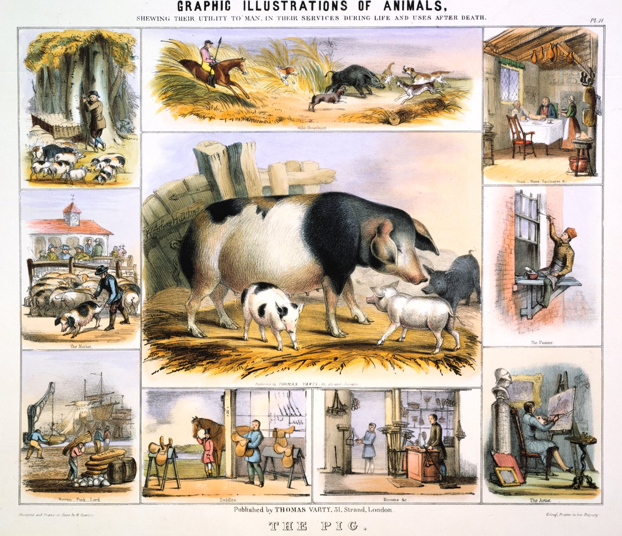 O Porco, c1850 de Benjamin Waterhouse Hawkins
