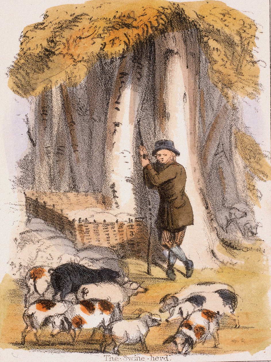 O rebanho suíno, c1845 de Benjamin Waterhouse Hawkins