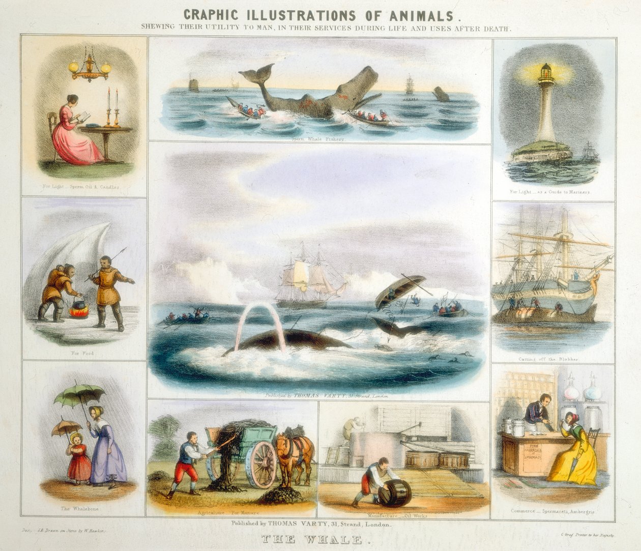 A baleia, c1850 de Benjamin Waterhouse Hawkins