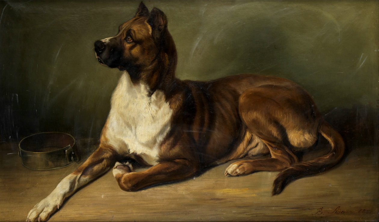 Benno Adam Retrato de um cão 1852 de Benno Adam