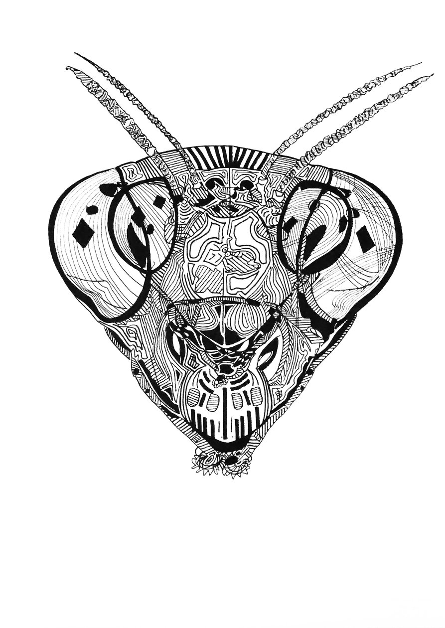 Double mante religieuse 2, 2019 (tinta sobre papel) de Benoit Erwann Boucherot