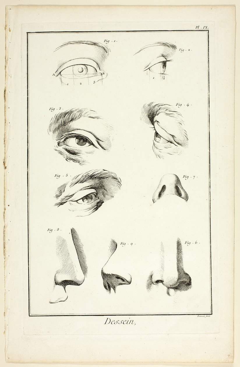 Desenho: Anatomia Facial de Encyclopédie de Benoit Louis Prevost