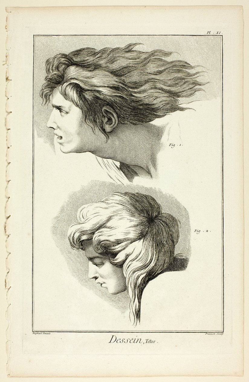 Design: Cabeças, da Encyclopédie de Benoit Louis Prevost