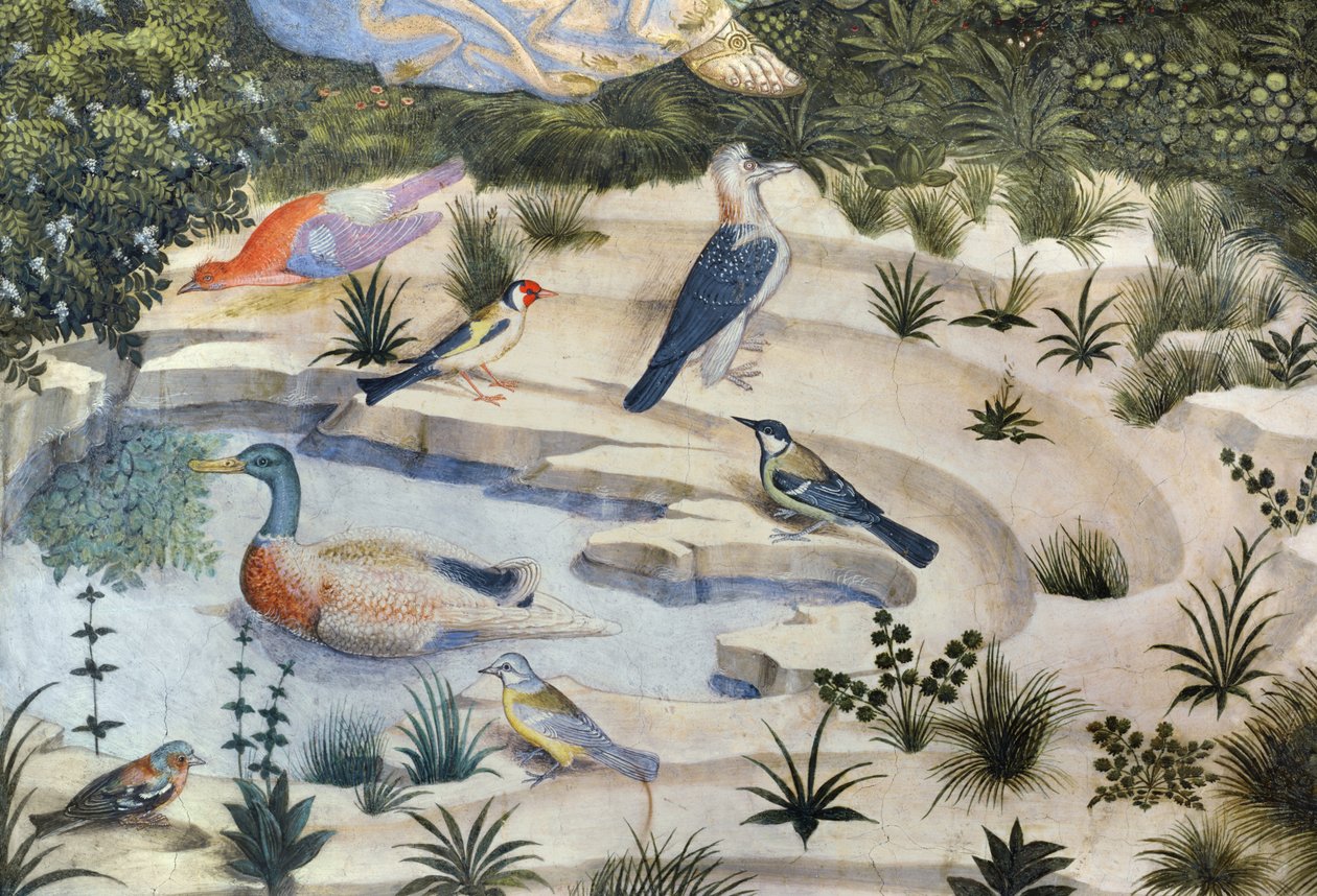 Aves em torno de uma lagoa, detalhe da jornada do ciclo magos na capela, detalhes c.1460 afresco de 70610 de Benozzo di Lese di Sandro Gozzoli
