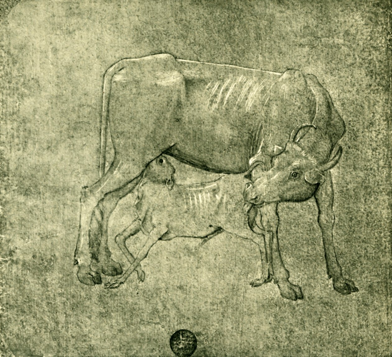 Vaca e bezerro, meados do final do século XV, 1943. de Benozzo Gozzoli