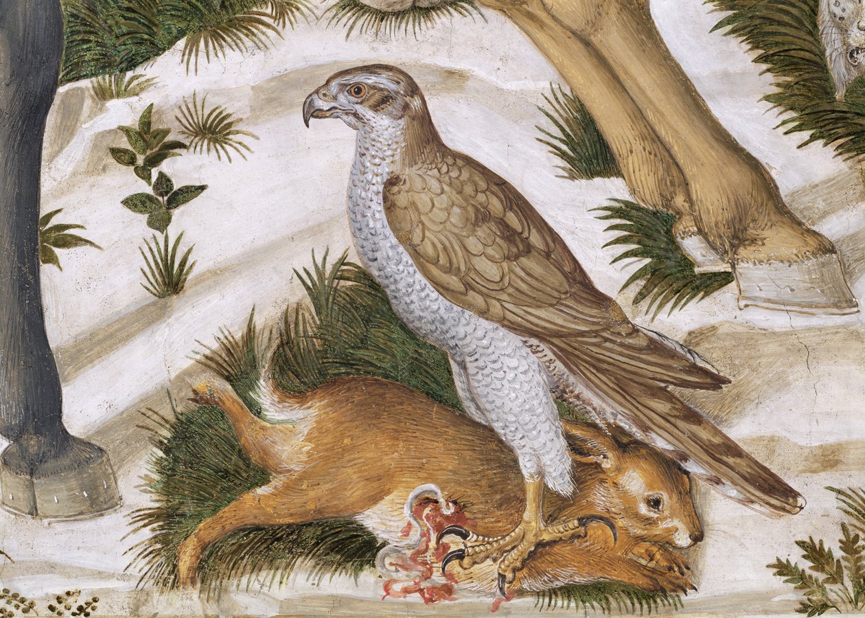 Falcão com coelho capturado, detalhe da jornada do ciclo magos na capela, detalhes c.1460 afresco de 70601 de Benozzo di Lese di Sandro Gozzoli