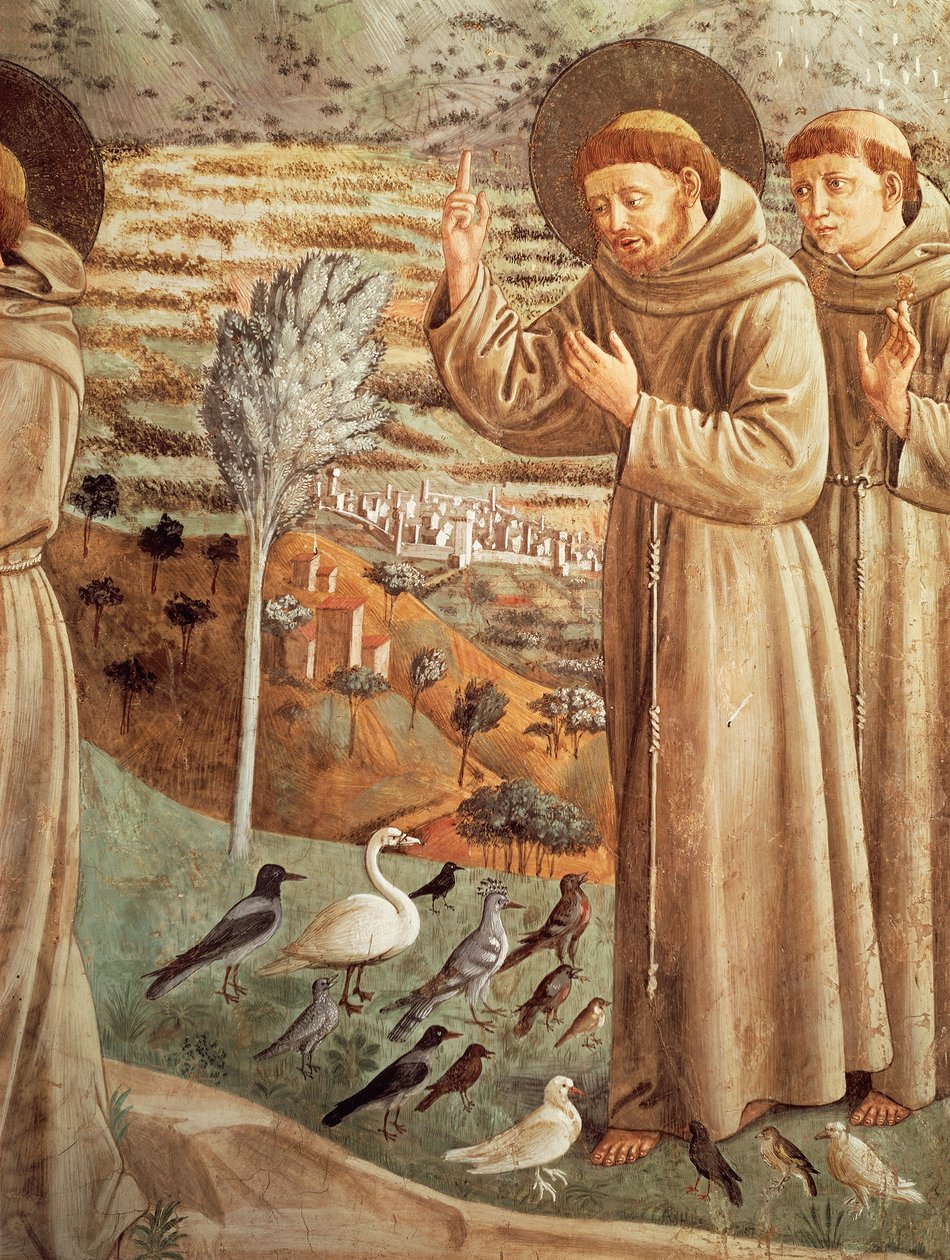 Histórias da vida de São Francisco, pregação às aves (1452), Ciclo de afrescos de Benozzo Gozzoli (1421-1497), tribuna apsidal, Igreja de São Francisco, Montefalco, Úmbria, Itália de Benozzo di Lese di Sandro Gozzoli