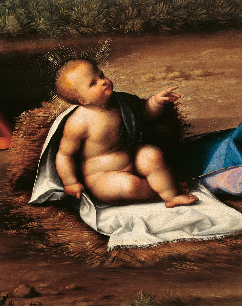 Menino Jesus, detalhe de Natividade de Garofalo (1481-1559) de Benvenuto Tisi da Garofalo