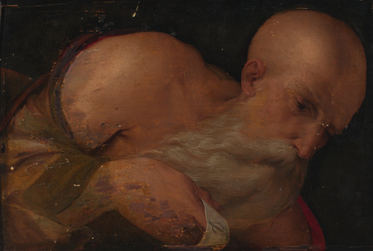 Retrato de um homem, século XVI. de Benvenuto Tisi da Garofalo