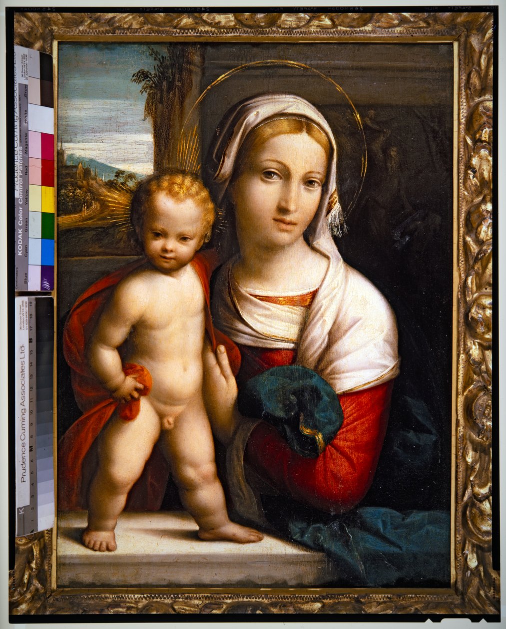 Virgem e Menino (painel) de Benvenuto Tisi da Garofalo