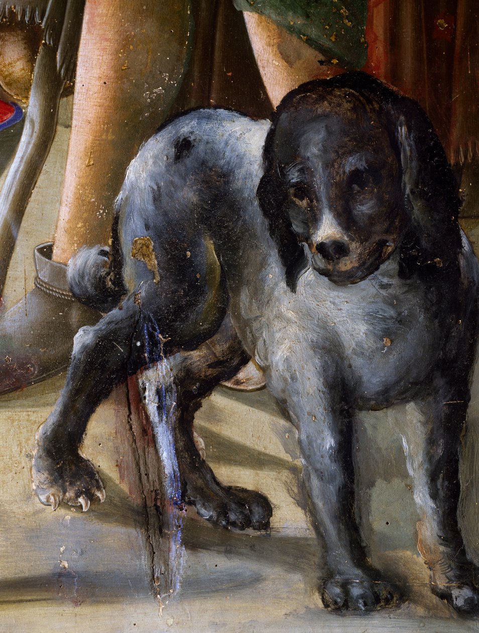 Cão, detalhe de Natividade de Jesus, ca 1470, pintura de Benvenuto di Giovanni, tempera em painel de Benvenuto di Giovanni