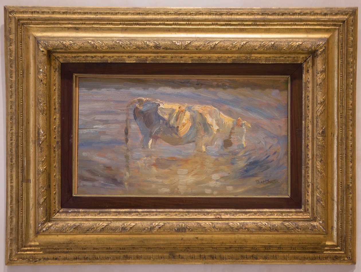 Vaca de Beppe Ciardi