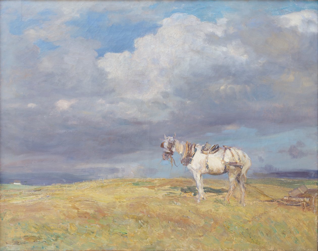 Cavalo branco, c.1910 (óleo sobre tela) de Beppe Ciardi
