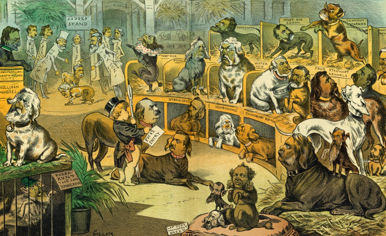 Nosso show nacional de cães, 1883 de Bernard Gillam