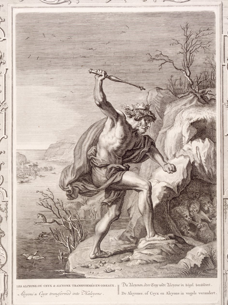 Alcyone e Ceux transformados em aves, 1730 de Bernard Picart