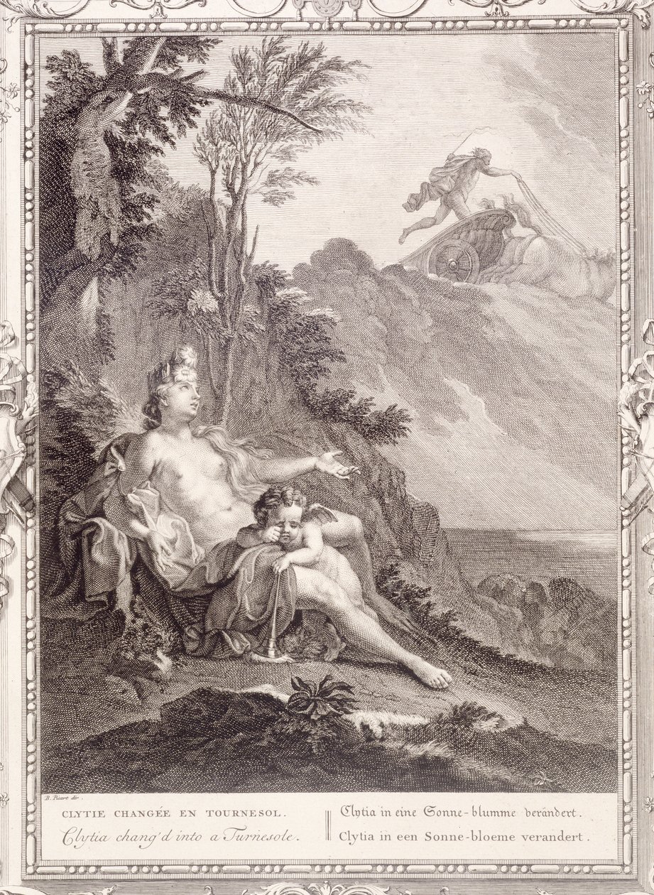 Clytia se transformou em um Turnesole, 1731 de Bernard Picart