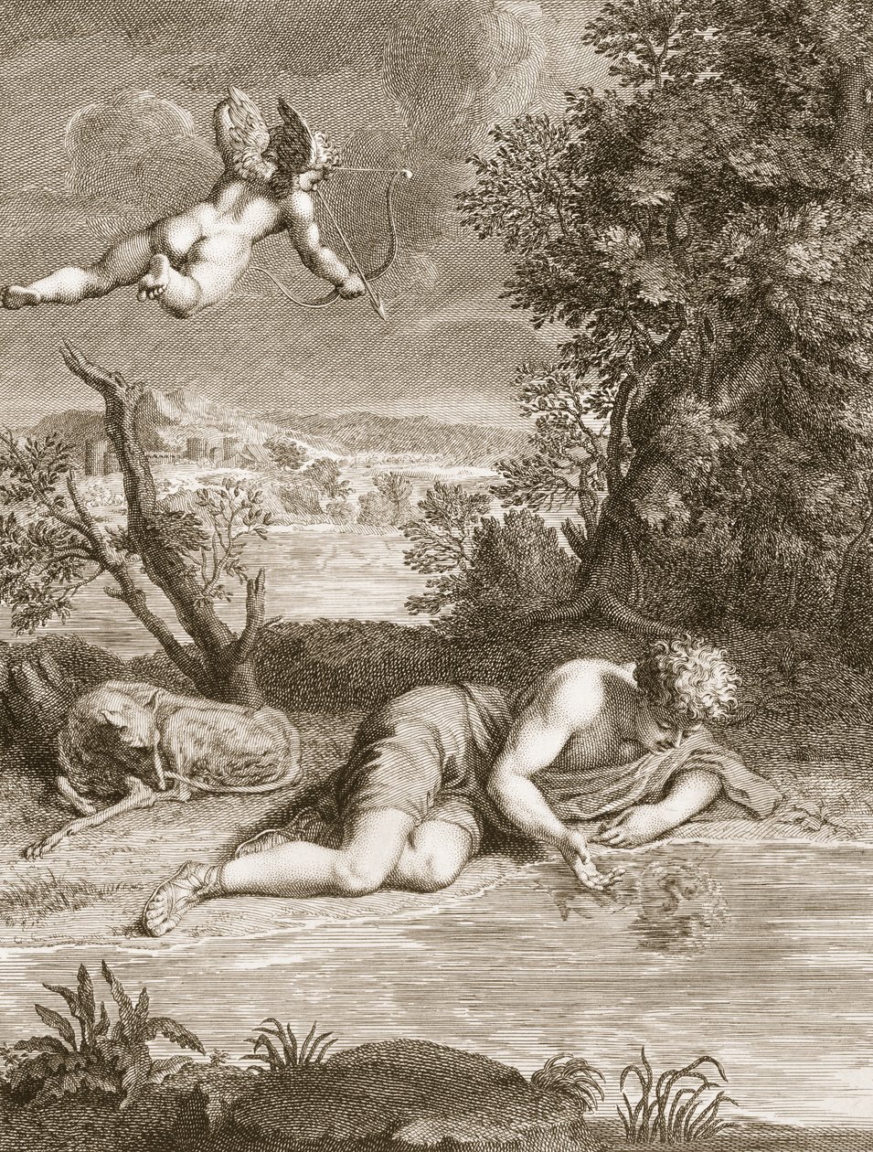 Narciso transformado em uma flor, 1730 de Bernard Picart
