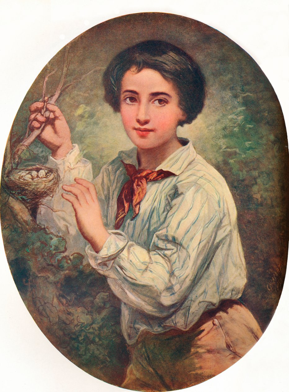 Floresta. de Bernard Charles Chiapory