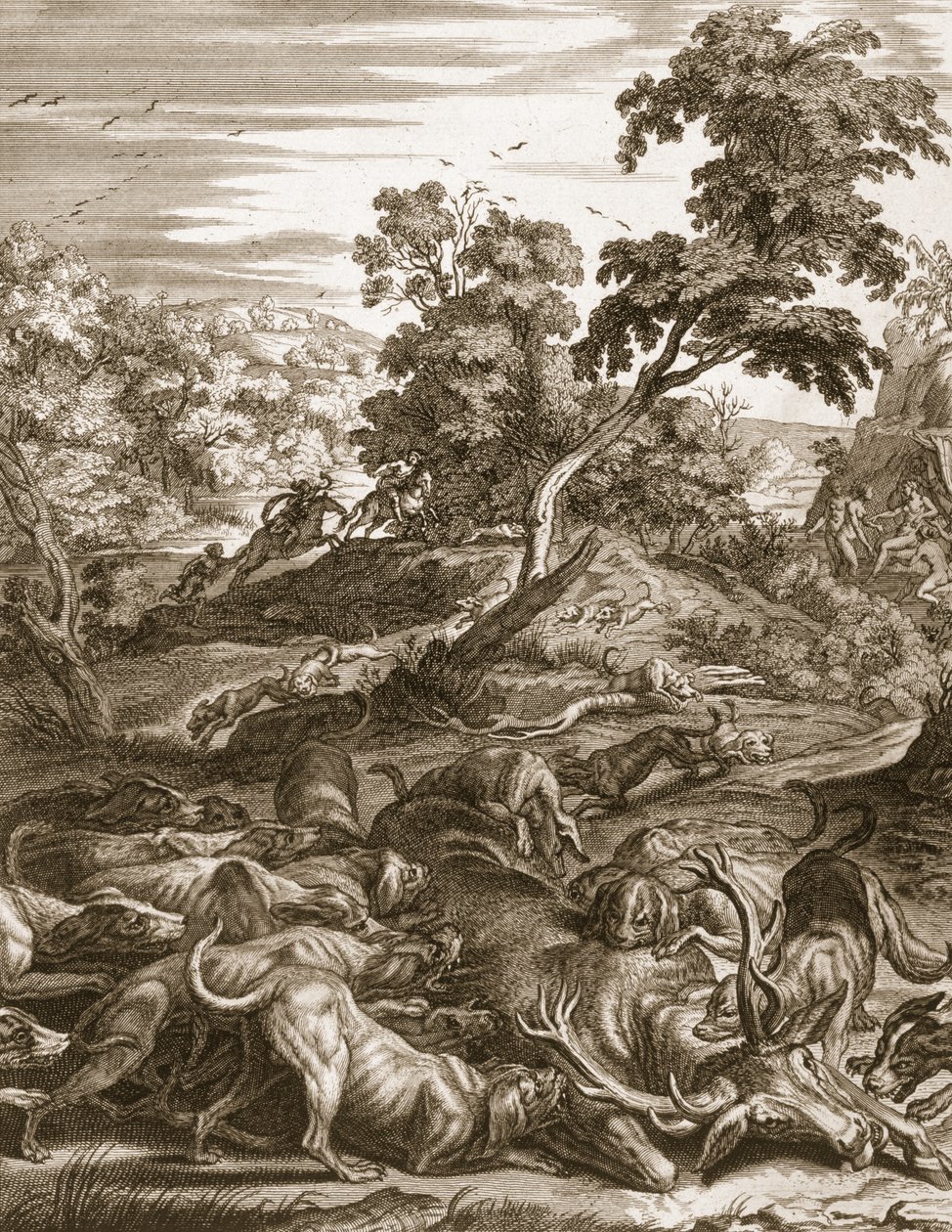 Actaeon se transformou em um veado e devorado por seus cães, 1731 de Bernard Picart