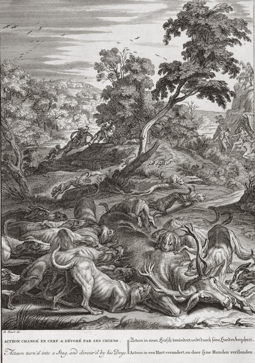 Acteon turnd em um Stag, e devorado por seus cães, 1731 de Bernard Picart
