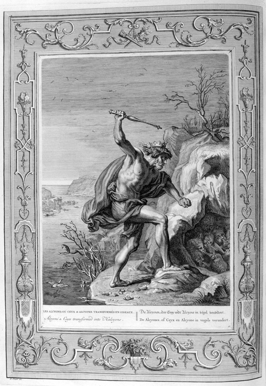 Alcyone e Ceyx transformados em pássaros, 1733 de Bernard Picart