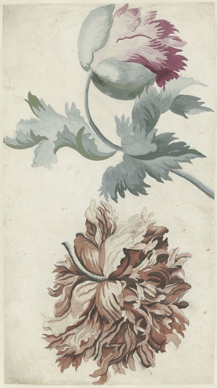 Folhetos de Bernard Picart