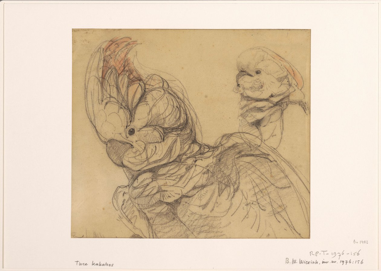 Duas cacatuas, meia vida de Bernard Willem Wierink