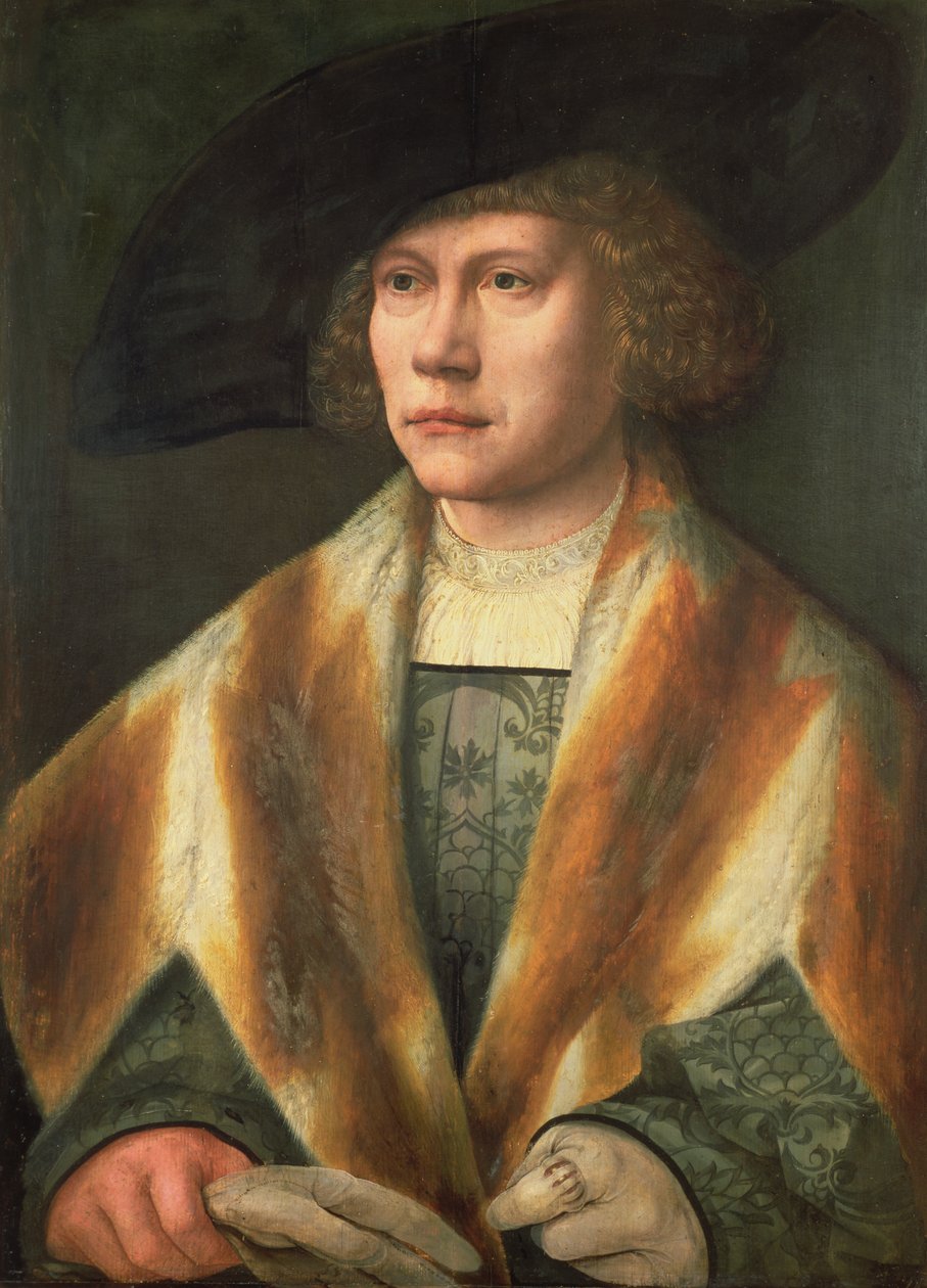 Retrato de um jovem, possivelmente um auto-retrato, c.1520 (painel) de Bernard van Orley