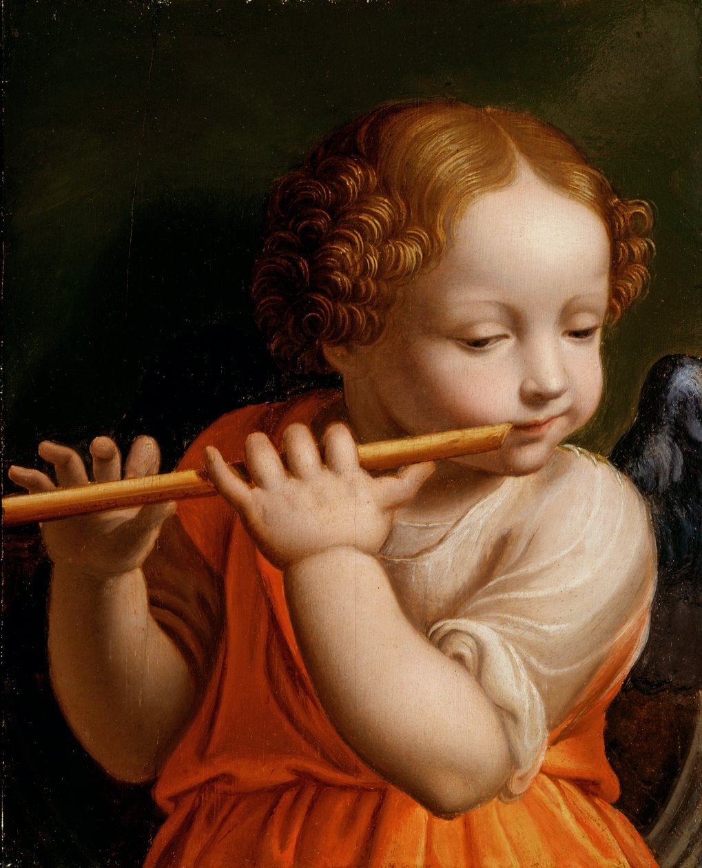 Anjo criança tocando uma flauta, c.1500 de Bernardino Luini
