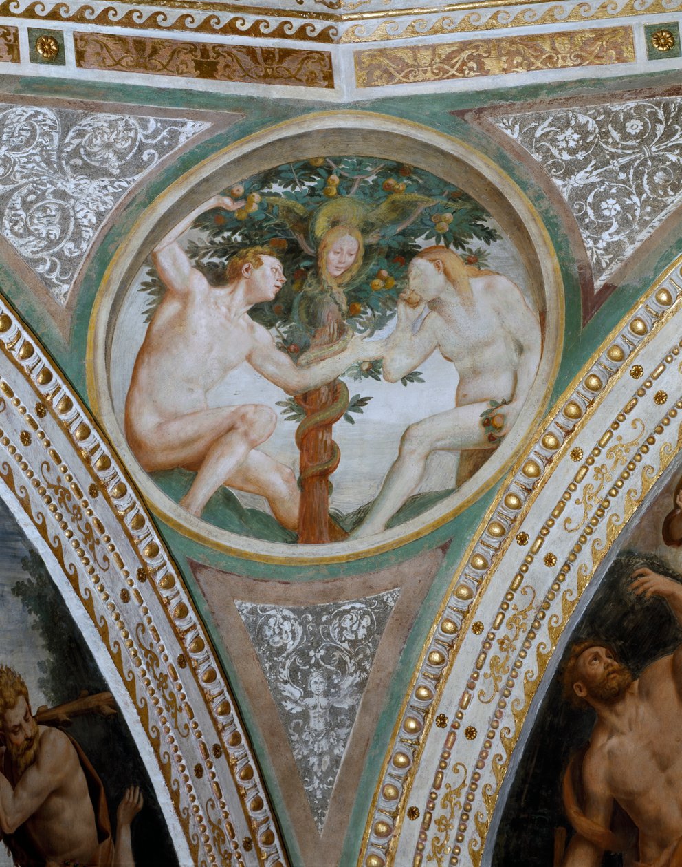 Pecado Original, do pendente da cúpula, 1532-36 de Bernardino Luini