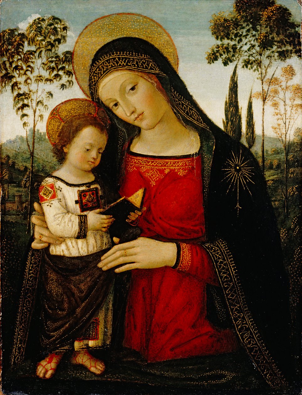 Madonna and Child, c.1490-1495 (tempera no painel) de Bernardino di Betto Pinturicchio