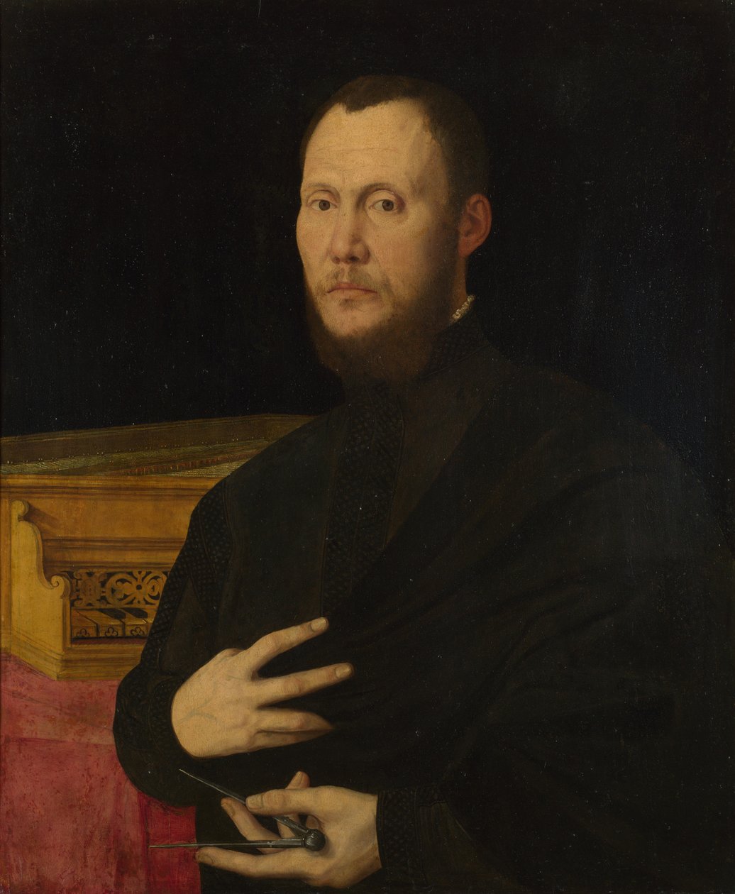 Retrato de um músico, c. 1565 de Bernardino Campi