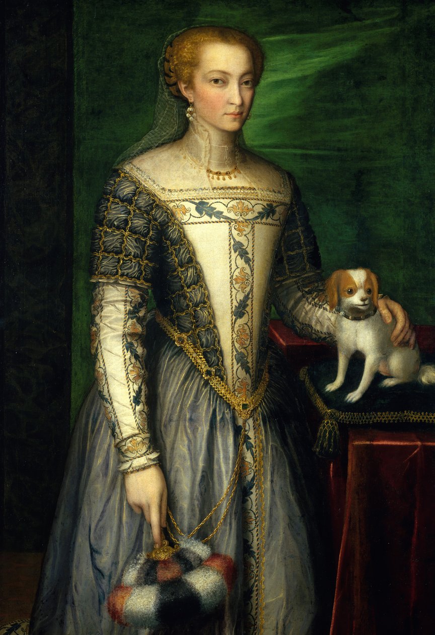 Retrato de uma mulher, final dos anos 1560. de Bernardino Campi