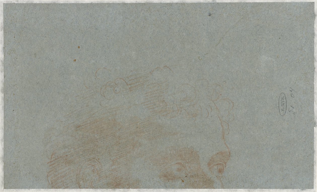 Parte da cabeça de um homem de Bernardino Lanino (possibly)