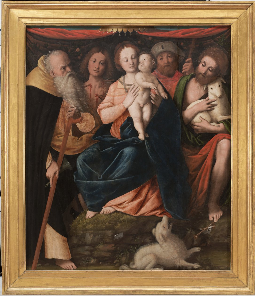 Madonna e criança com os santos Anthony Abbot, Sebastian, Rocco e João Batista, 1534 de Bernardino Lanino